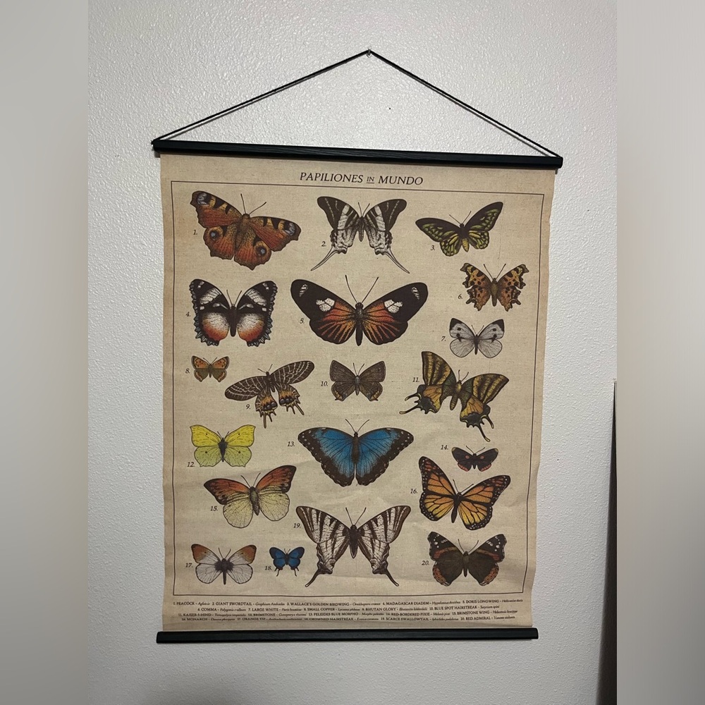 BUTTERFLY ROOM DECOR